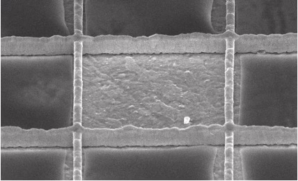 Electron microscope image of a transparent silver grid that conducts electricity in a solar cell. Credit: Yorick Bleiji (AMOLF)